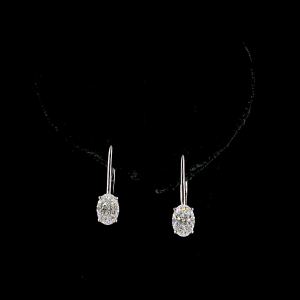 Oval Shape Hanging Earring